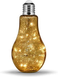 LED Bulb Large