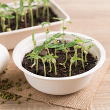 Load image into Gallery viewer, Biodegradable Bowl | 10pc