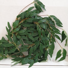 Load image into Gallery viewer, Willow Leaf String (2m)