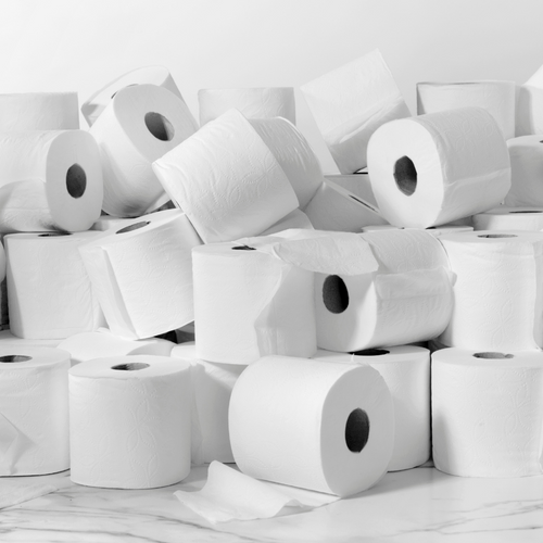 Toilet Paper Eco-Sense 1Ply 48's | 500 Sheet