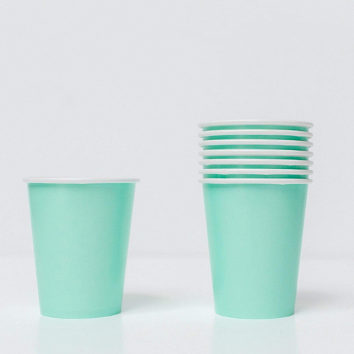 Fresh Mint Paper Party Cups