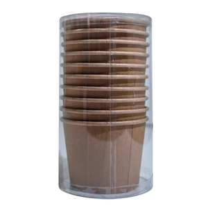 Ice Cream Tub & Spoon [10 Pack] [Biodegradable]