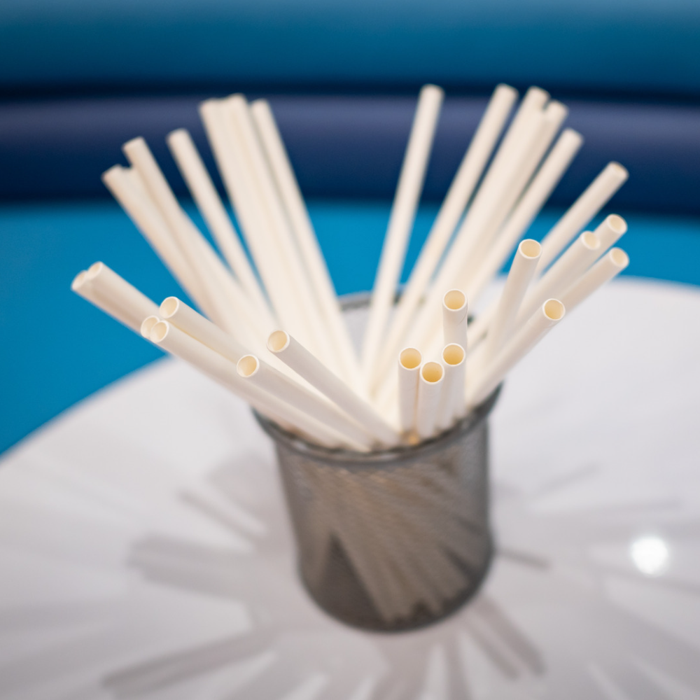 Biodegradable Straws | 8mm | 100pc