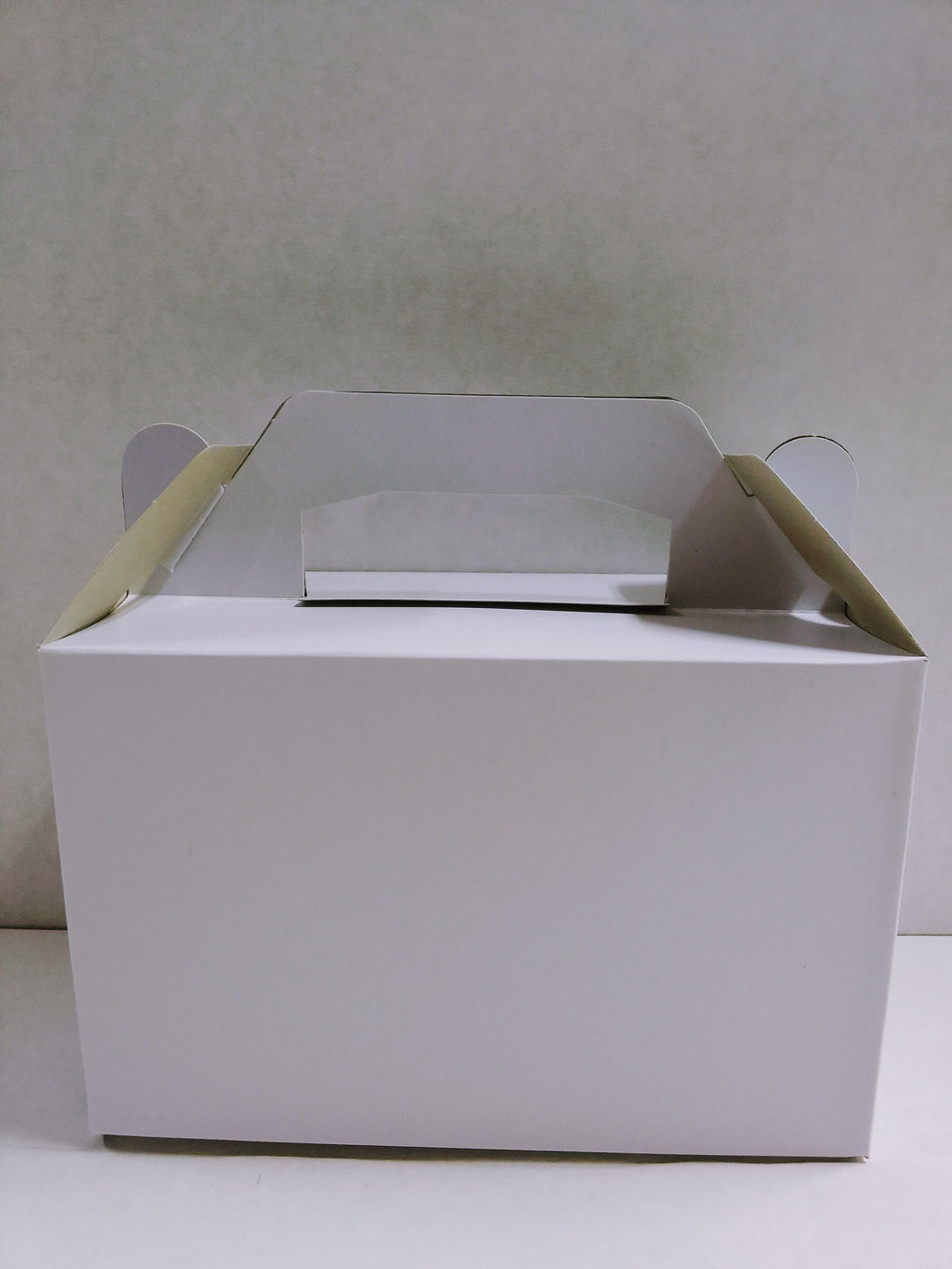 Party Boxes (Large)