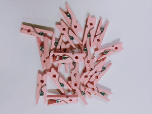 Mini Pegs Colour (20pcs)