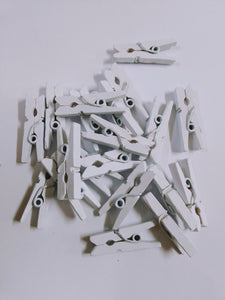 Mini Pegs Colour (20pcs)