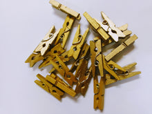 Load image into Gallery viewer, Mini Pegs Colour (20pcs)