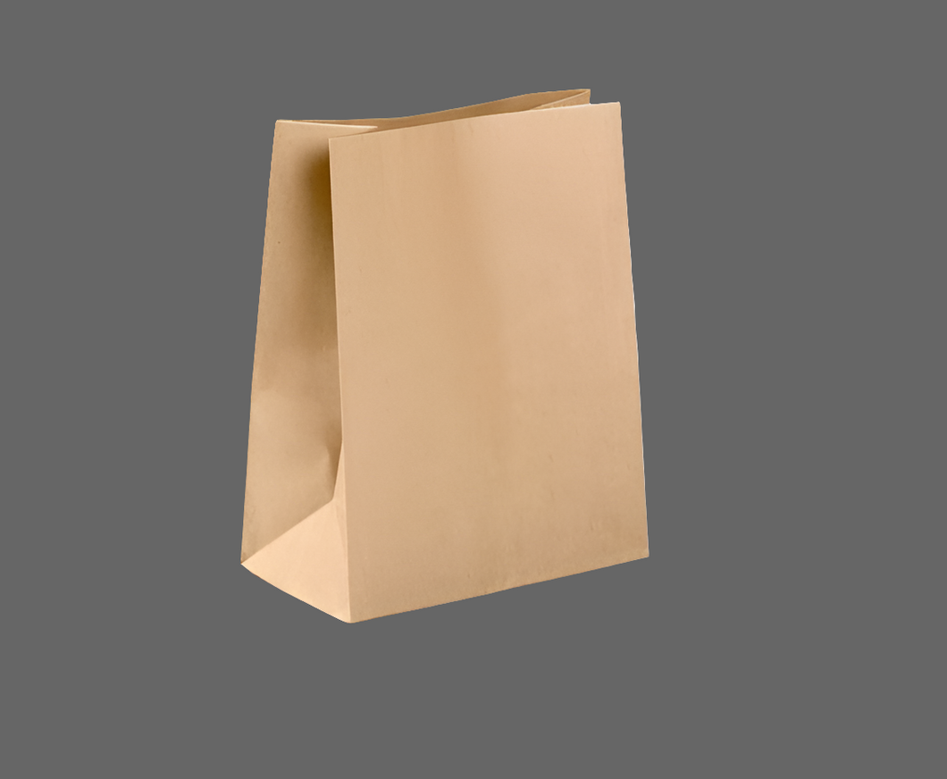 120GSM Kraft Bags (Medium)