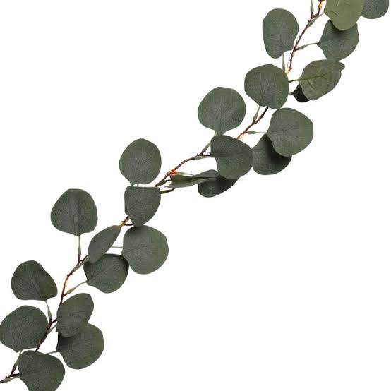 Eucalyptus Leaf String (1.9m)