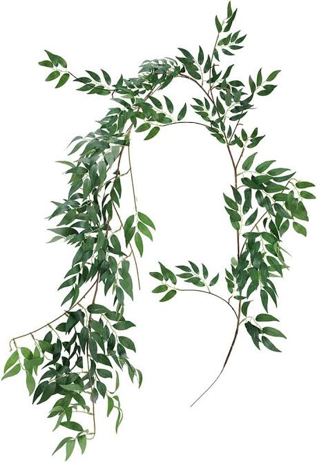 Willow Leaf String (2m)