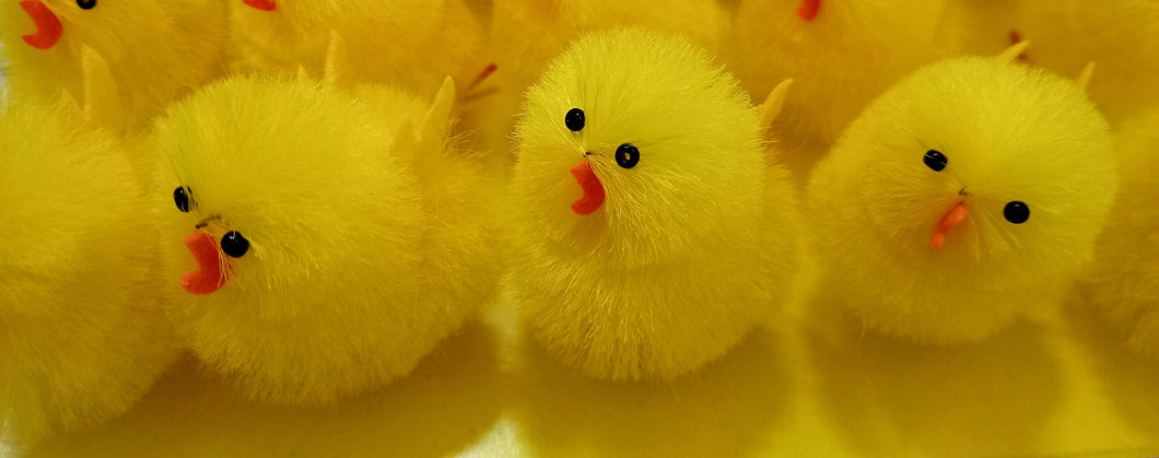 Easter Chick (Large)