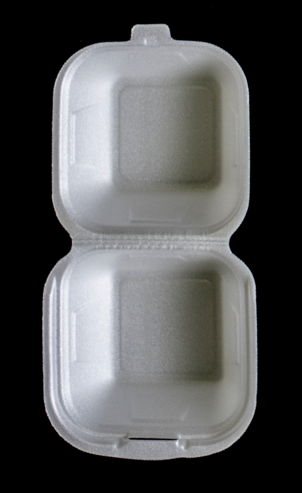 Foam Containers | No. 6 | 125pc