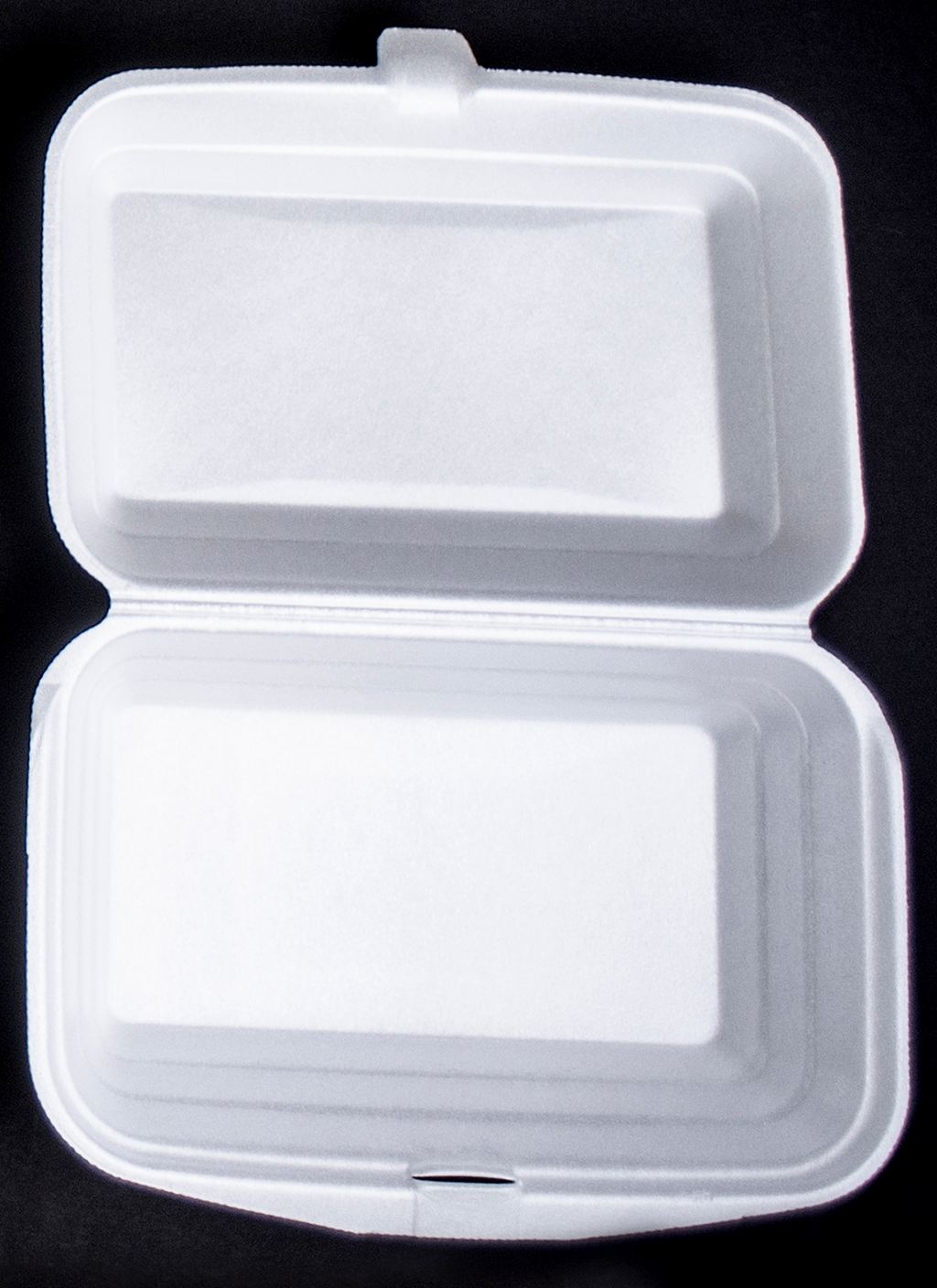 Foam Container [No. 41]