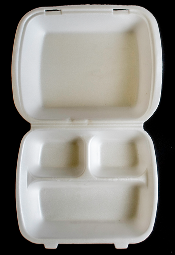 Foam Container [No. 53]