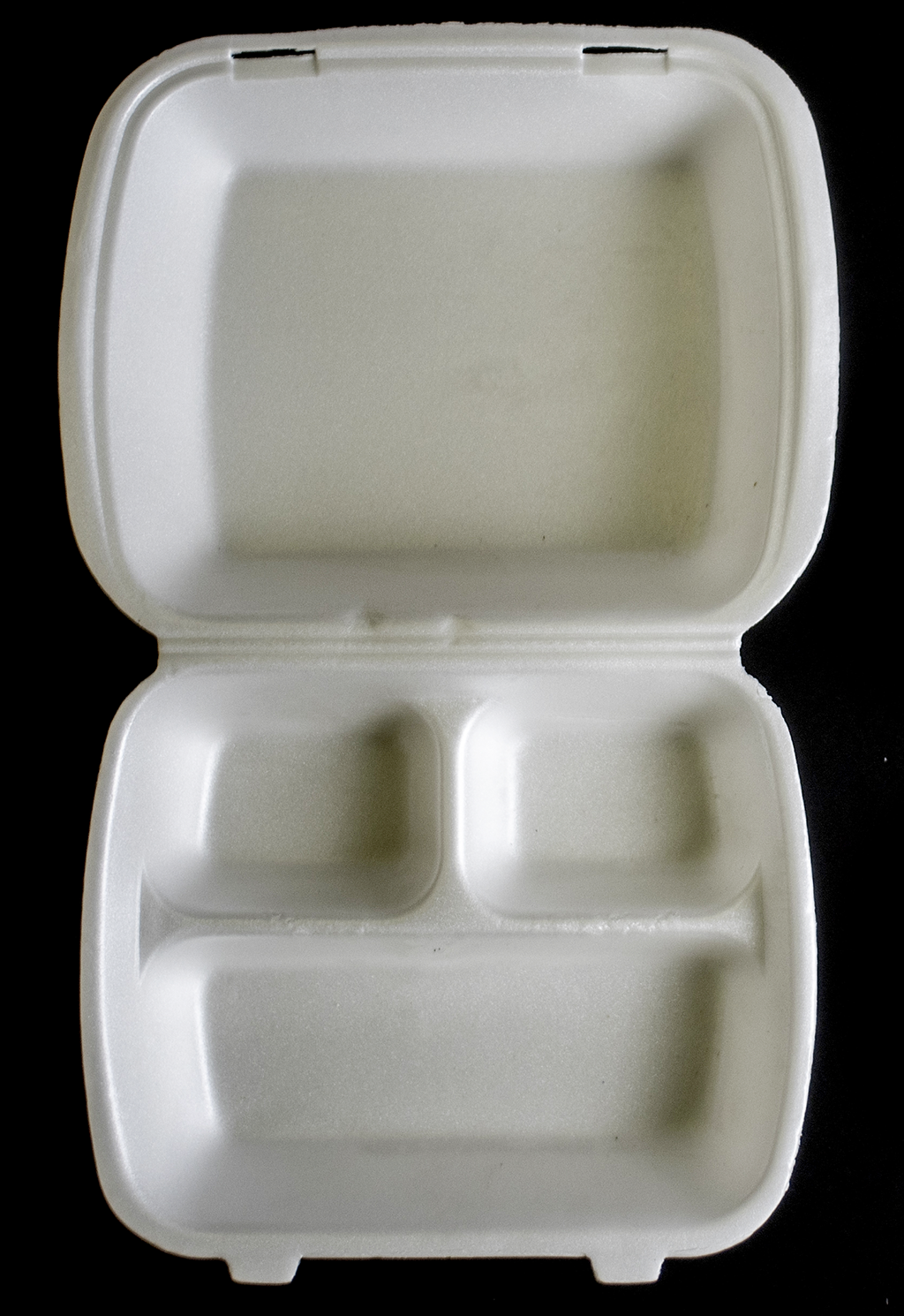 Foam Container [No. 53]