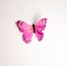 Load image into Gallery viewer, Butterflies [Decorations]