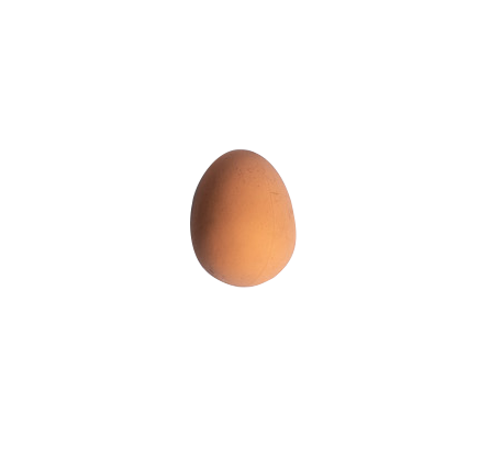 Egg Shaped Ball 