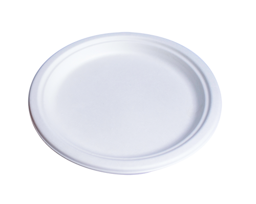 Plates [10 Pack] [Round] [Biodegradable]