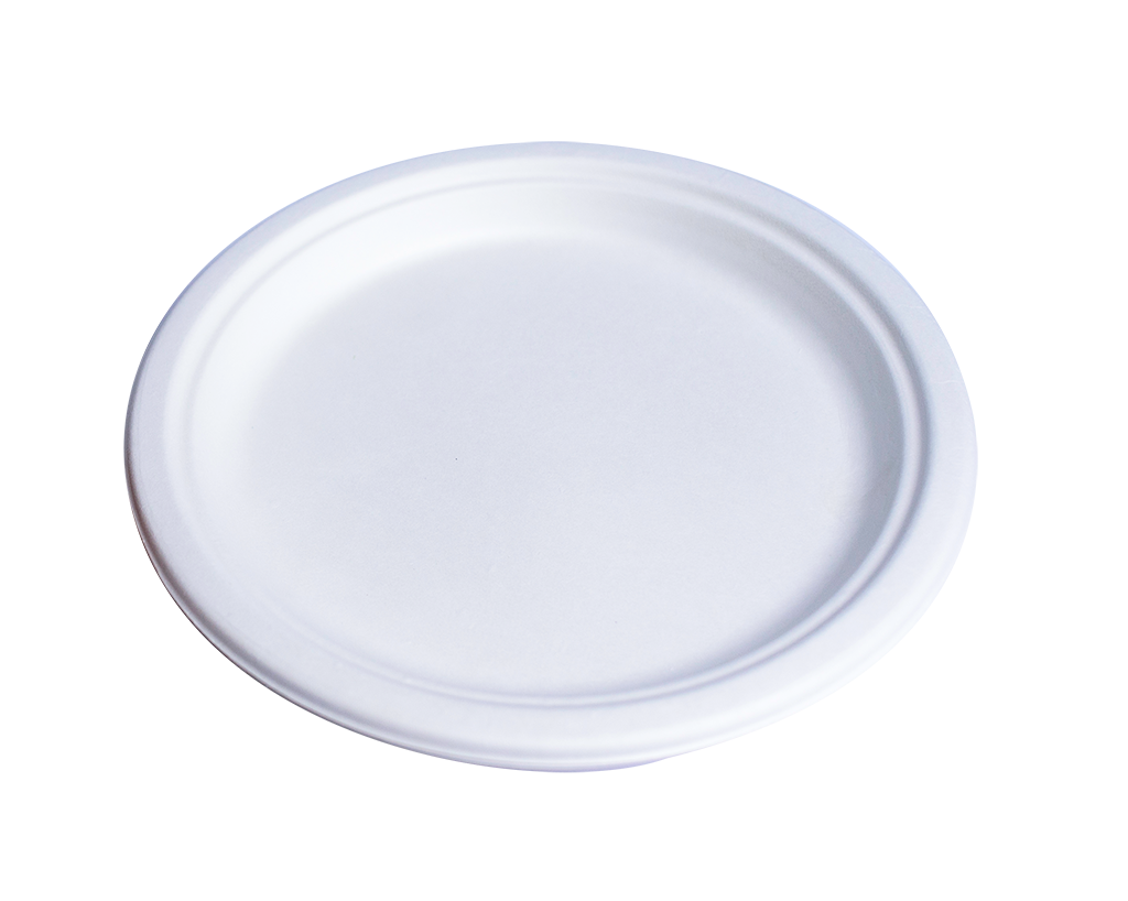 Plates [10 Pack] [Round] [Biodegradable]