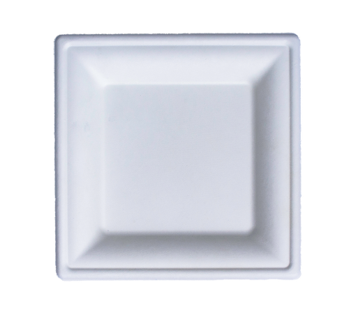 Plates [10 Pack] [Square] [Biodegradable]