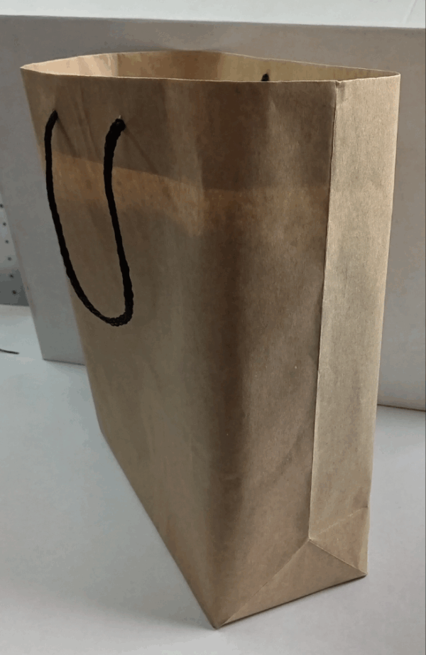 Kraft/White String/Opol Handle Paper Bags (Large) - WrapnPack